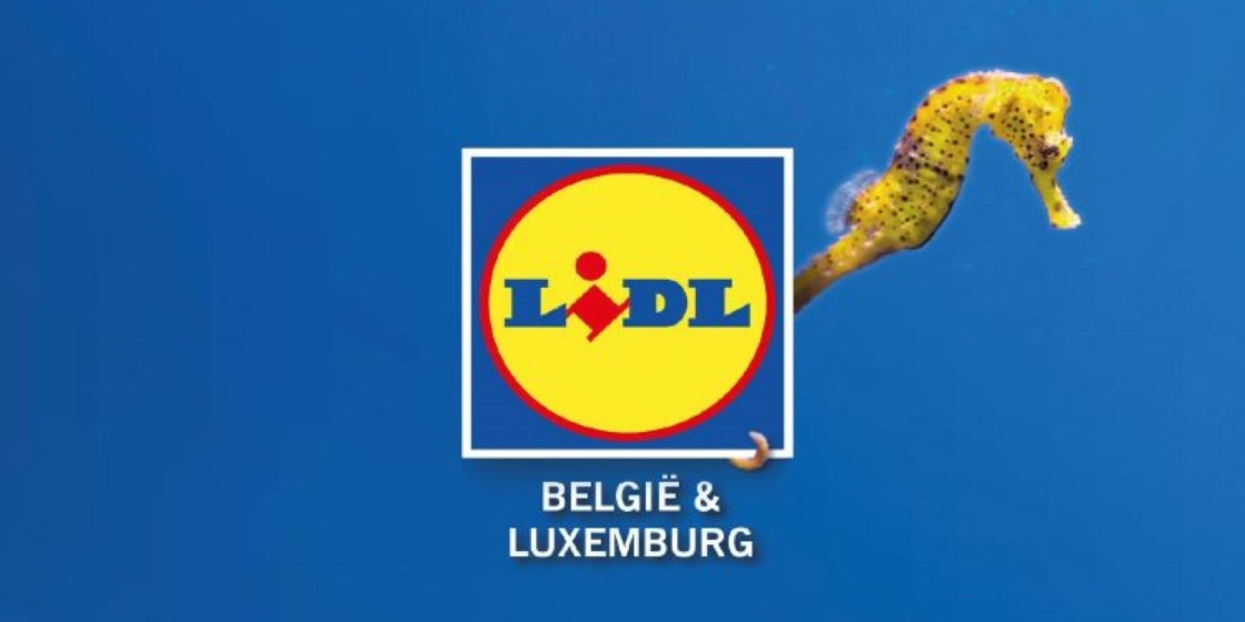 Blog: Le rapport de durabilité de Lidl Belgique récompensé